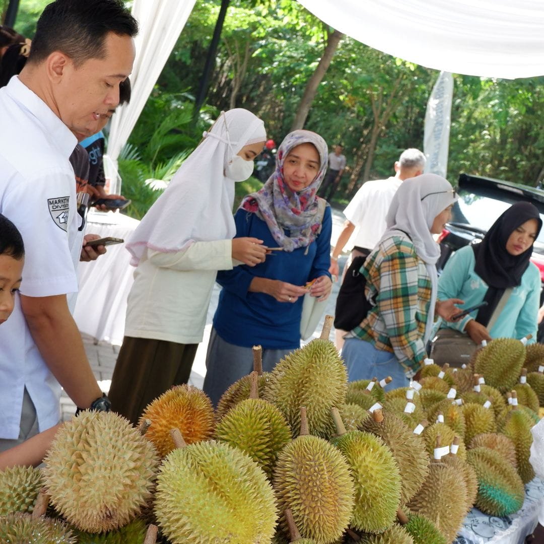 Pesta Durian